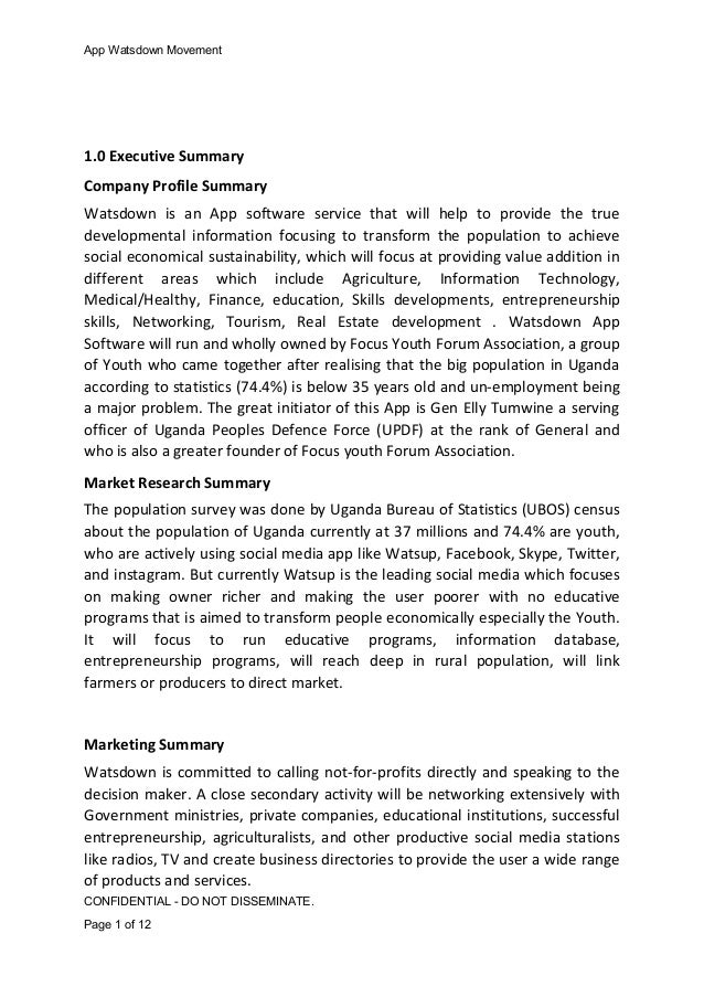 business plan for software development company doc software startup business plan template